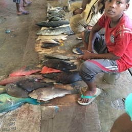 Boy at Fish Market